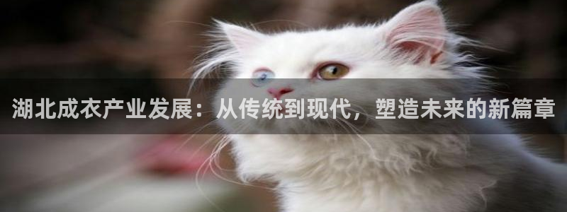 天辰娱乐天辰宝