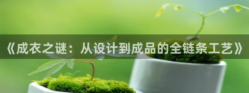 天辰娱乐61116