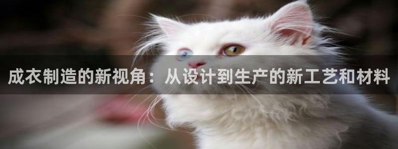 天辰娱乐app