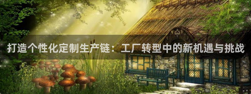 南充天辰娱乐
