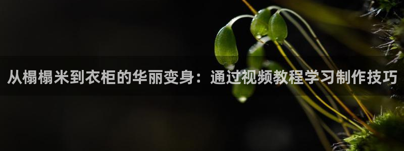 天辰娱乐文化