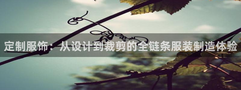 天辰娱乐鱼刺