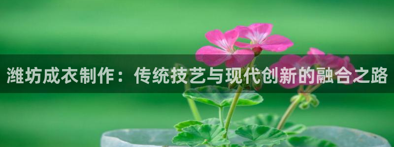 天辰娱乐彩票