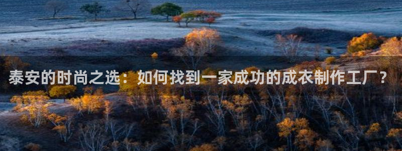 天辰娱乐分红