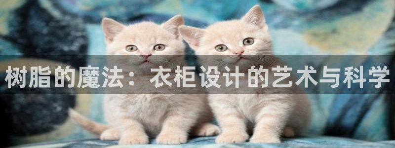 天辰娱乐60447