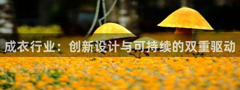 天辰娱乐挂机