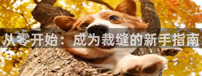 天辰娱乐元宝
