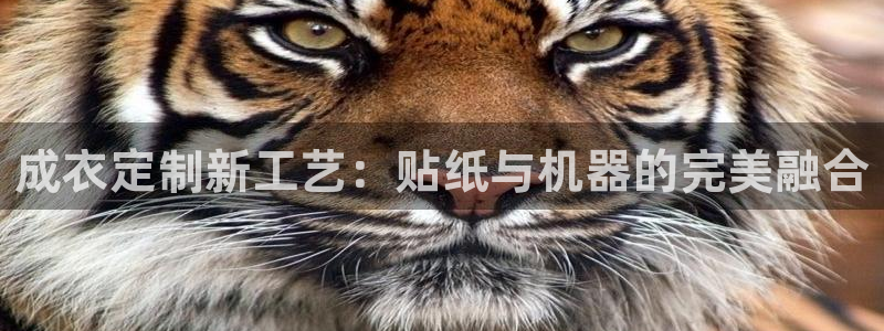 天辰娱乐论坛