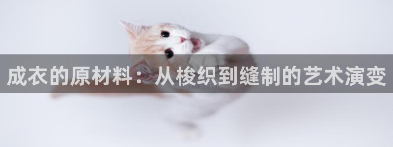 天辰娱乐-q