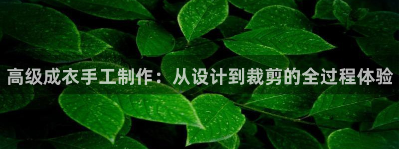天辰娱乐网