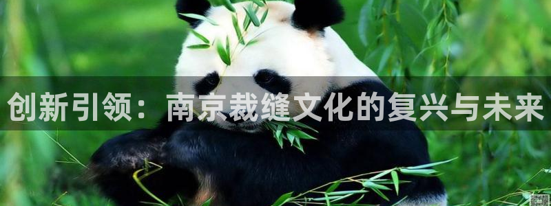 天辰娱乐官网平台入口