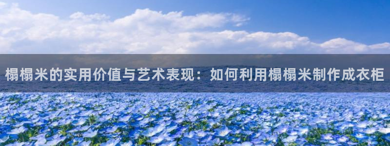 南充天辰娱乐