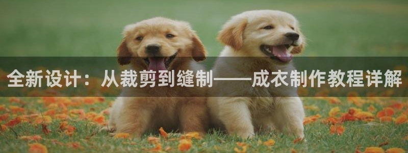 天辰娱乐557448