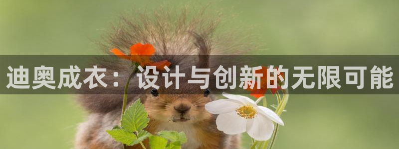 天辰娱乐咋样