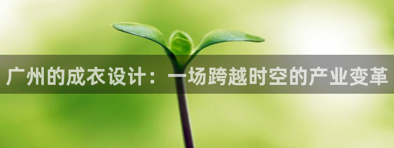 天辰娱乐分红