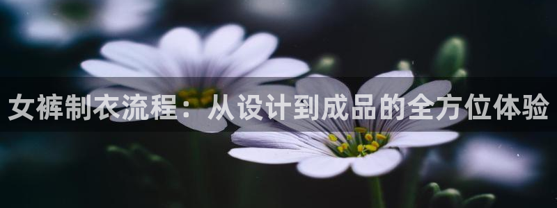 天辰娱乐84566