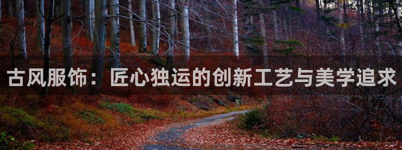 天辰娱乐老板