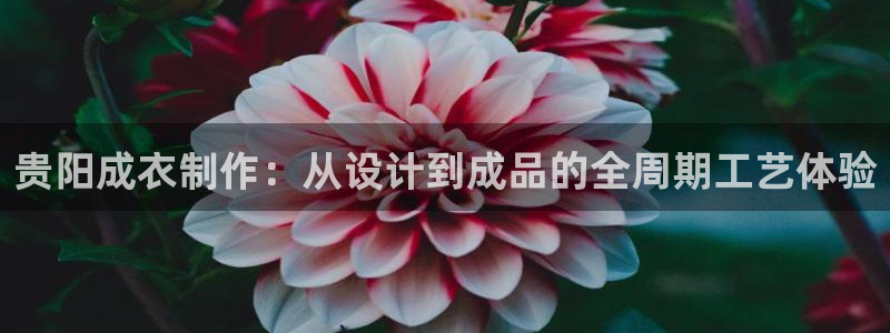 天辰娱乐网
