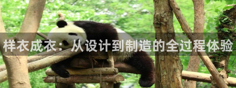 天辰娱乐官方网