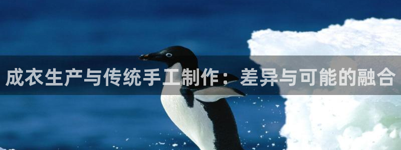 天辰娱乐维护