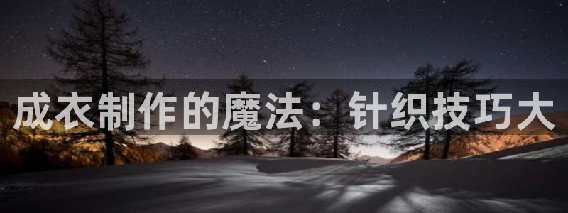 南京天辰娱乐