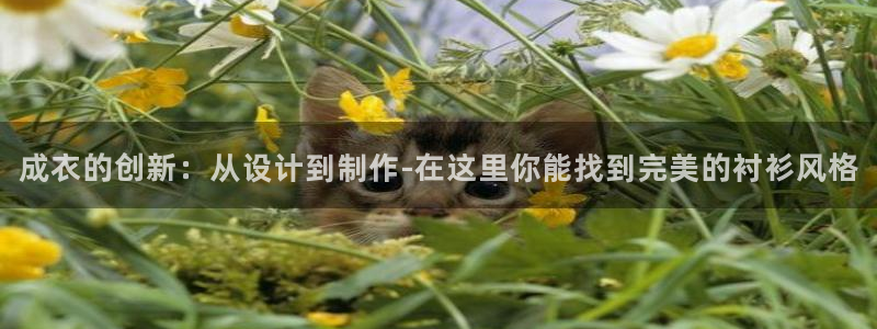 天辰娱乐 . 鱼刺