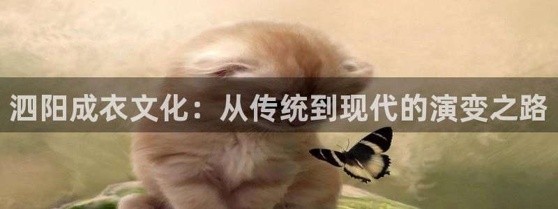 天辰娱乐跑的快