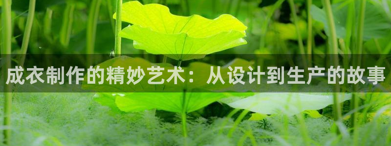 天辰娱乐官方网