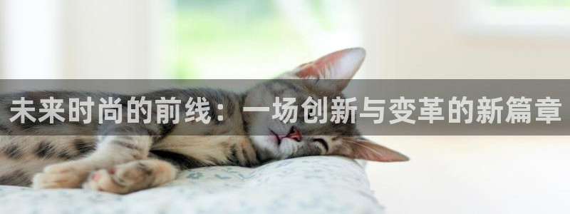 天辰娱乐股票