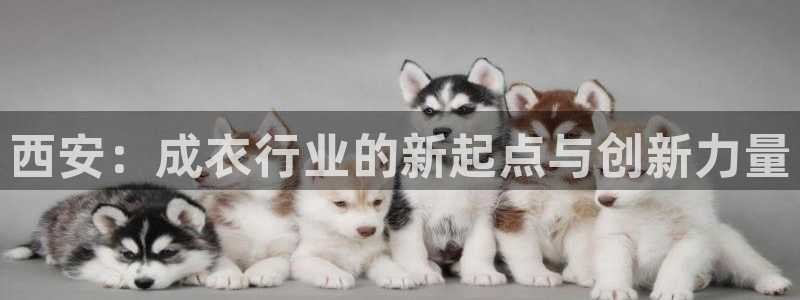 天辰娱乐官方登录下载